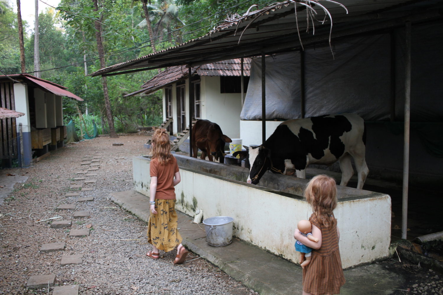 dewalokam organic farm 