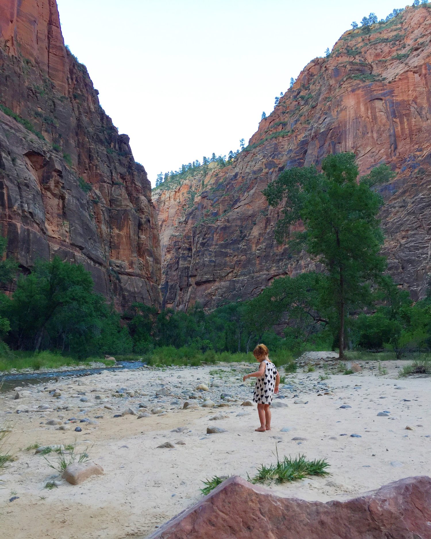 Zion park