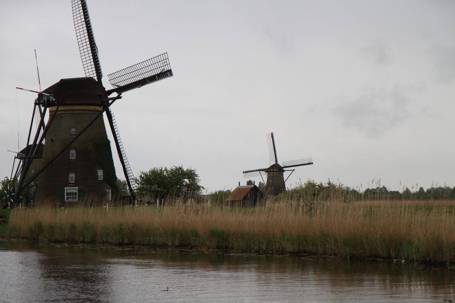 Kinderdijk les moulins 