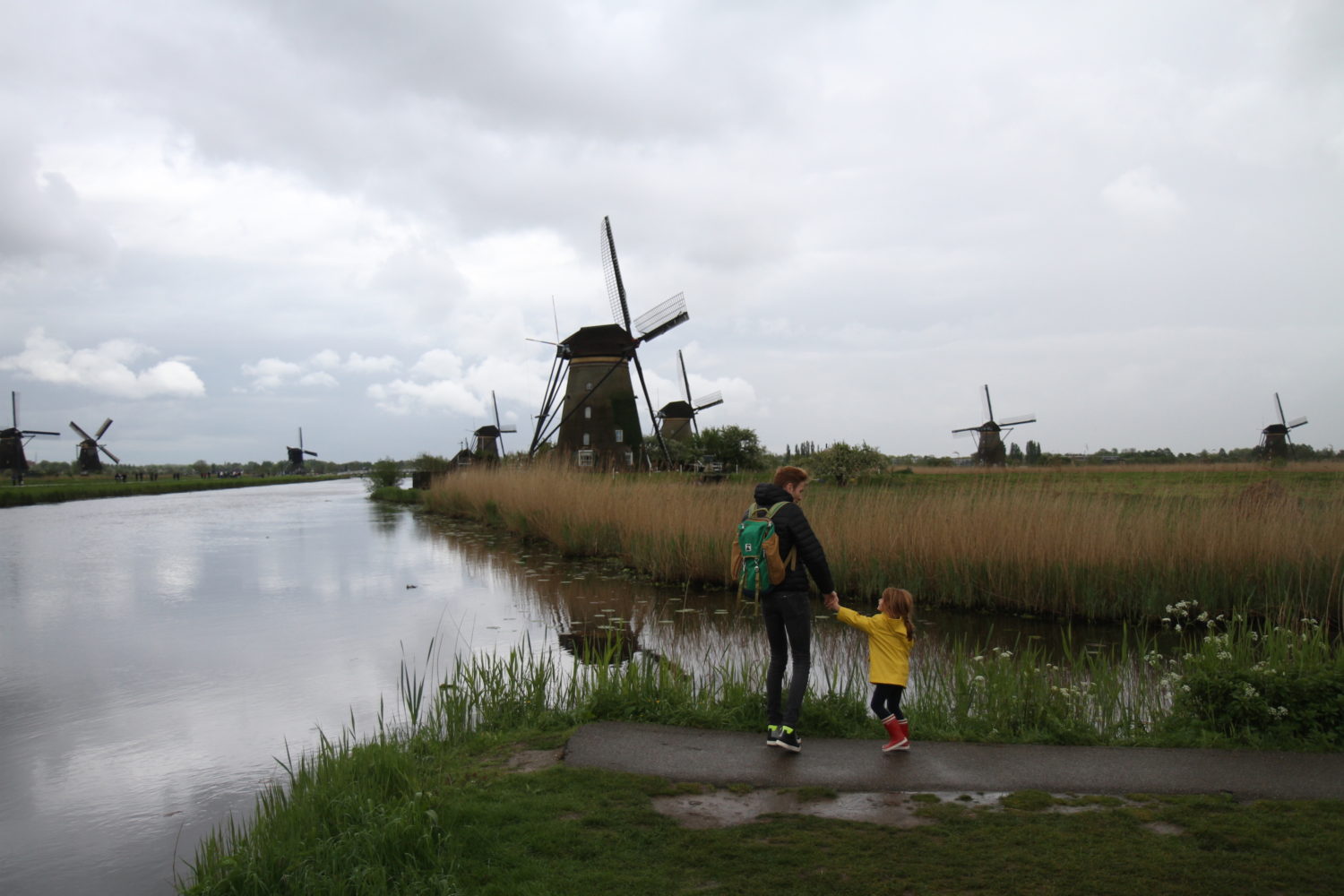 Kinderdijk les moulins en hollande 