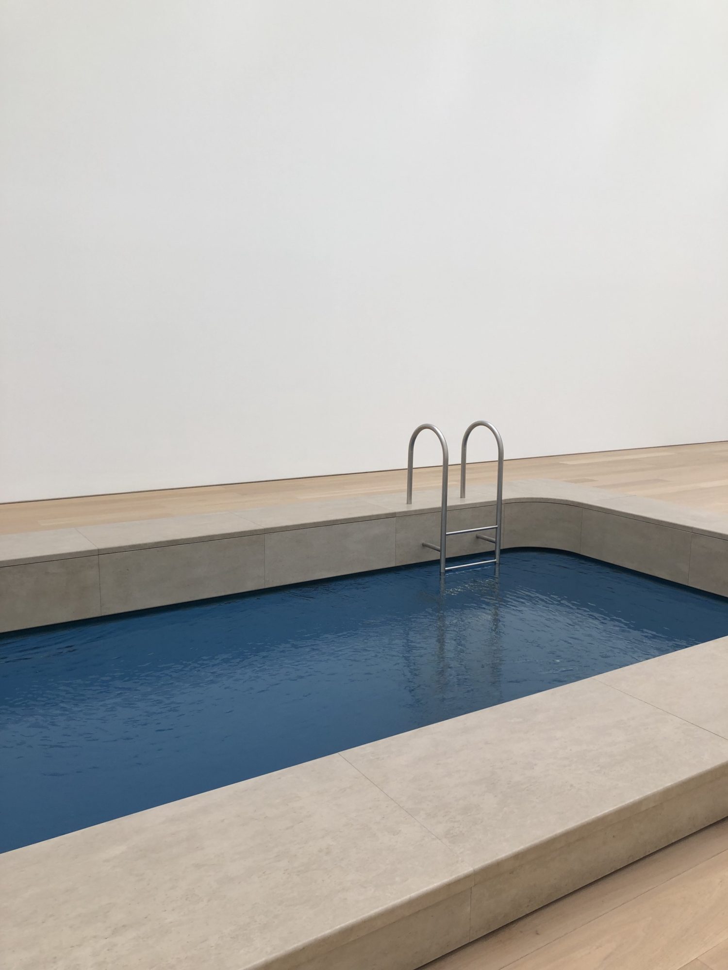 voorlinden leandro erlich 