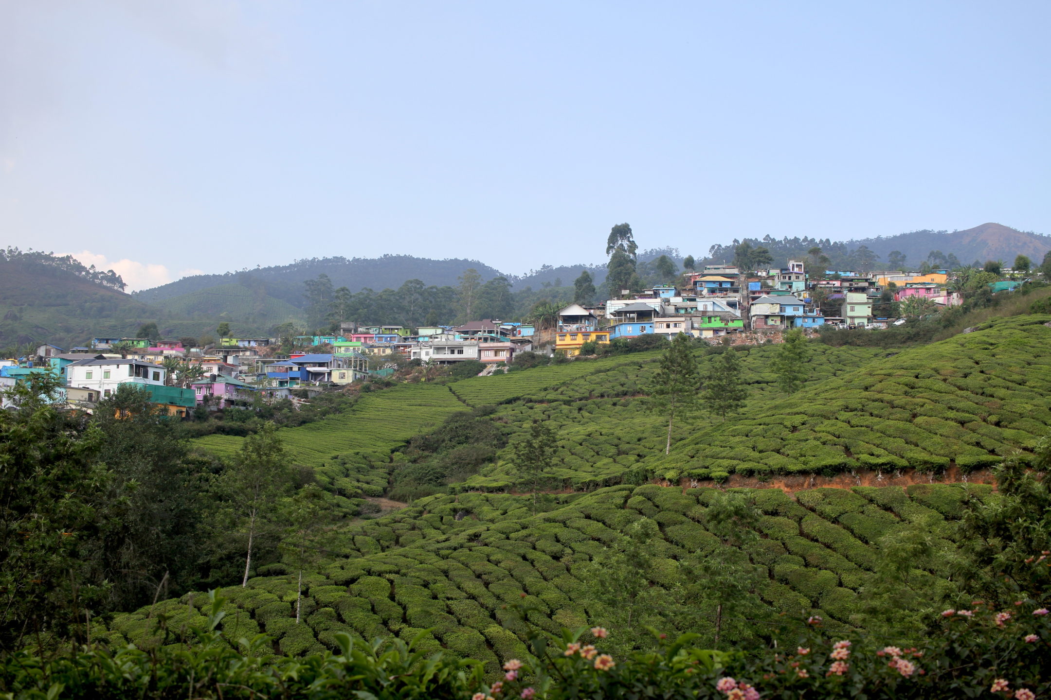 munnar kerala