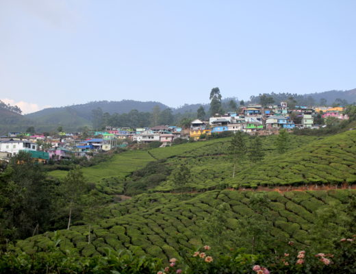 munnar kerala