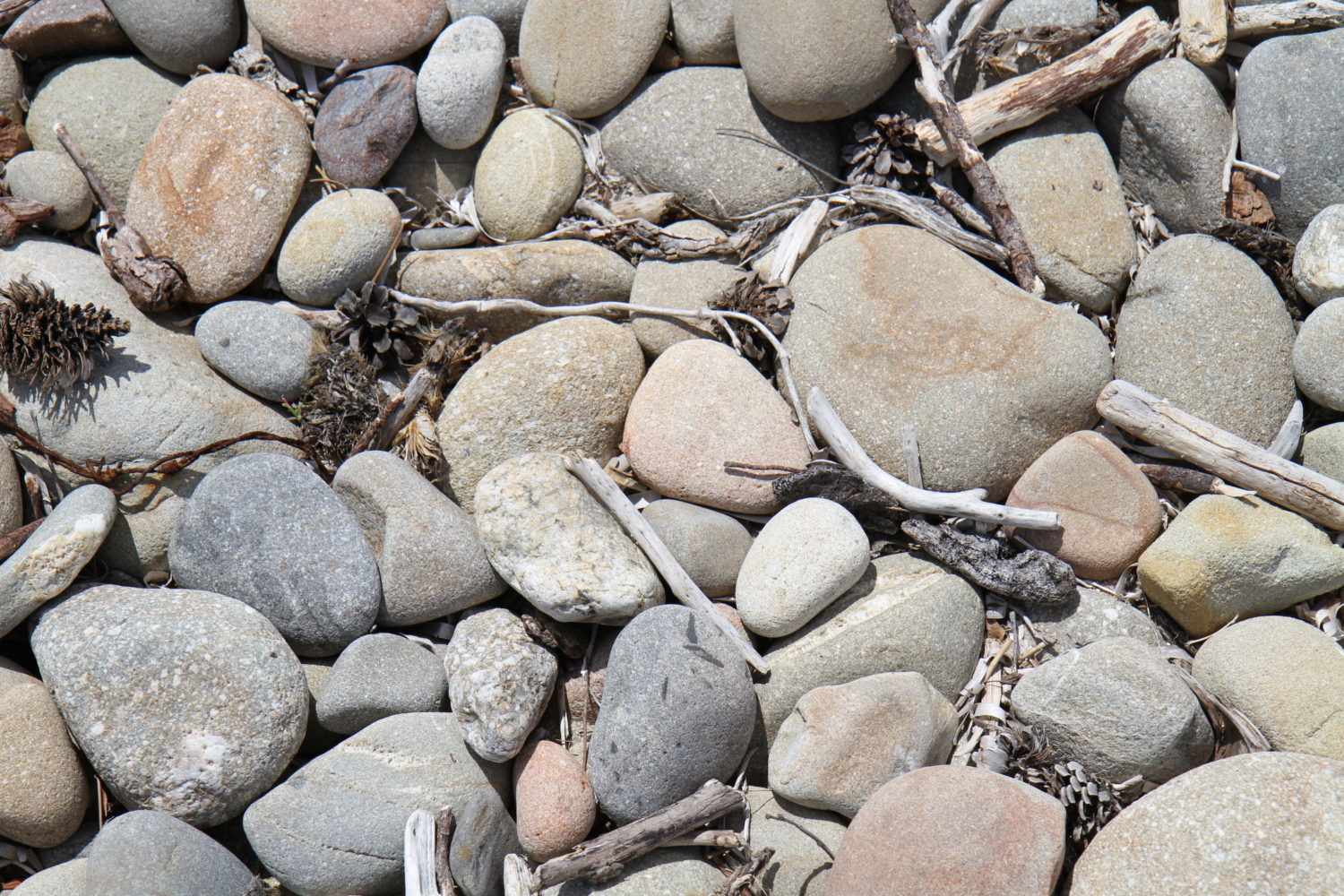 plage corse