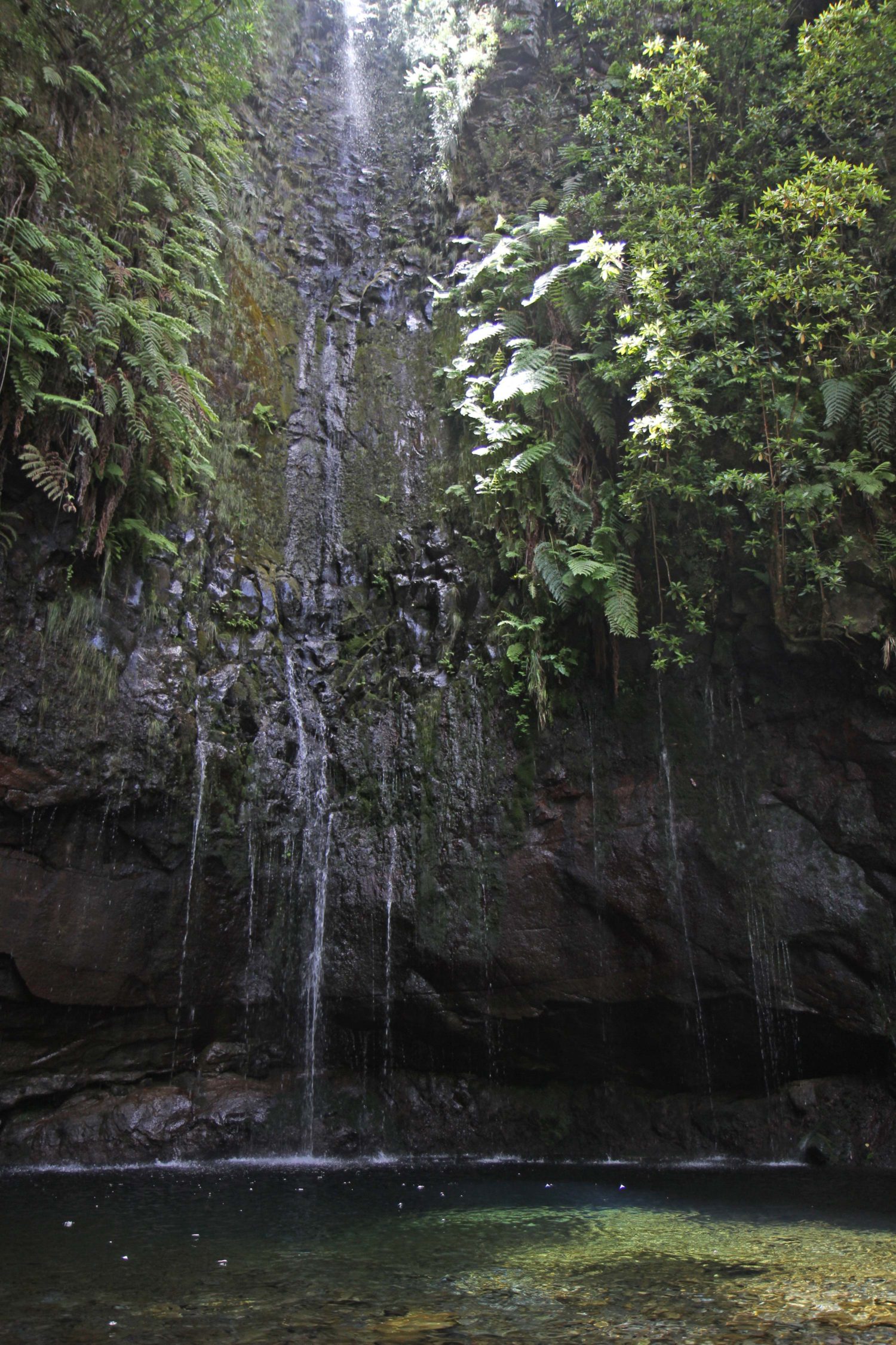 Madère randonnée de la levada das 25 Fontes