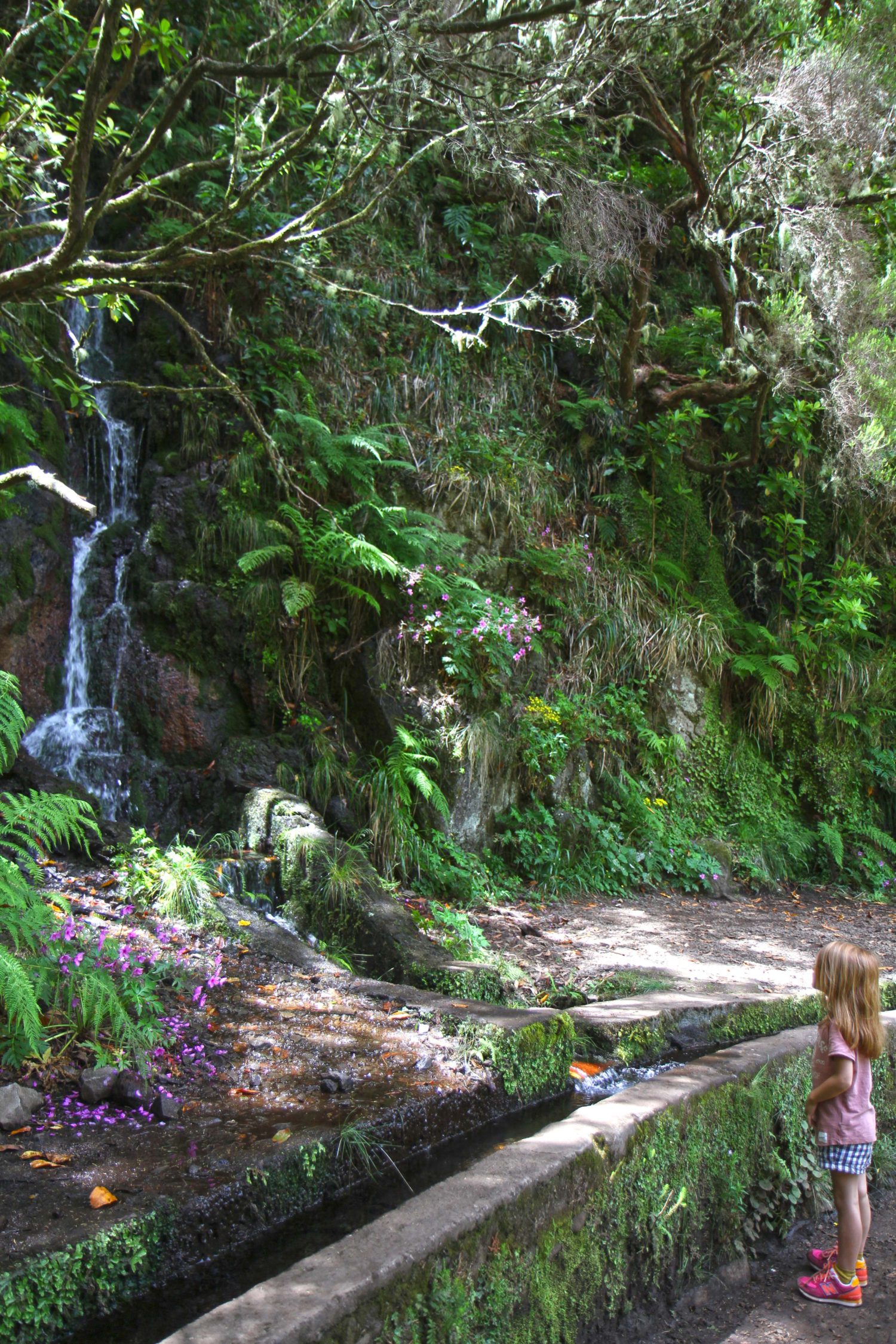 Madère randonnée de la levada das 25 Fontes