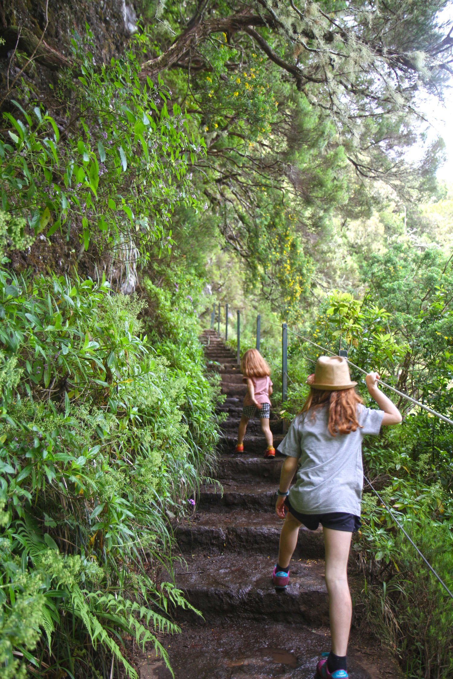 Madère randonnée de la levada das 25 Fontes