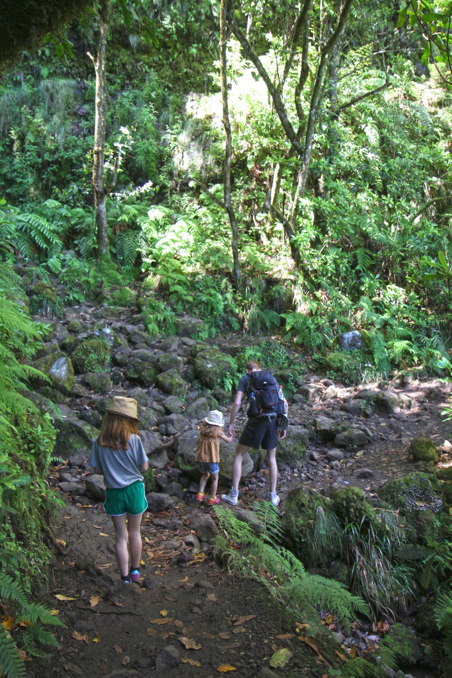 Madère randonnée du Caldeirao Verde