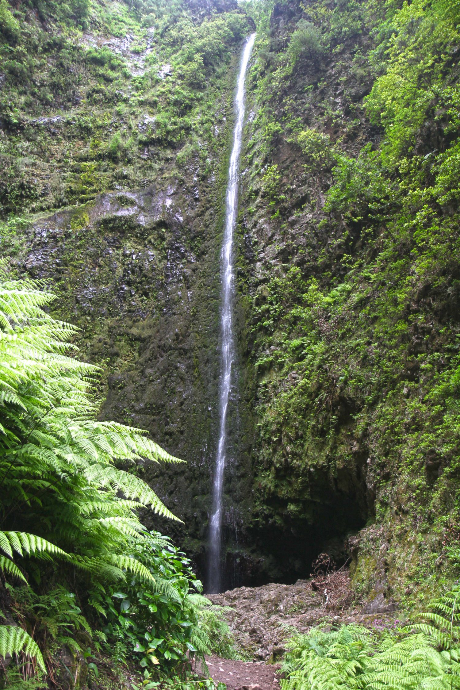 Madère randonnée du Caldeirao Verde cascade 