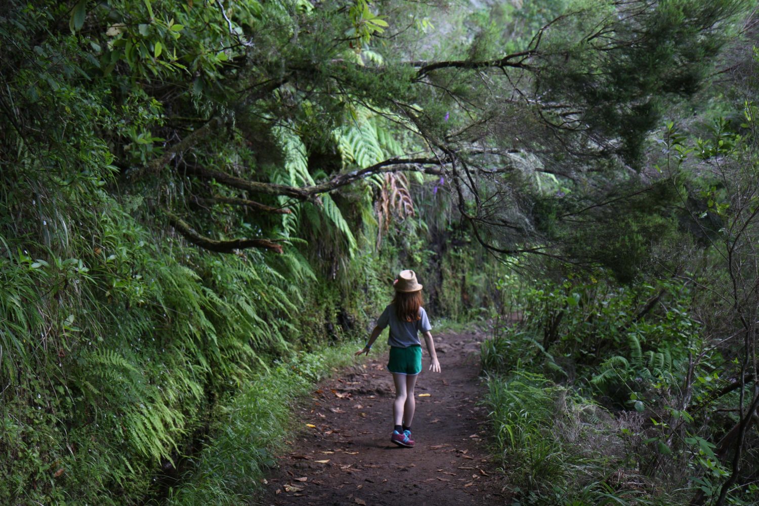 randonnée Caldeirao Verde