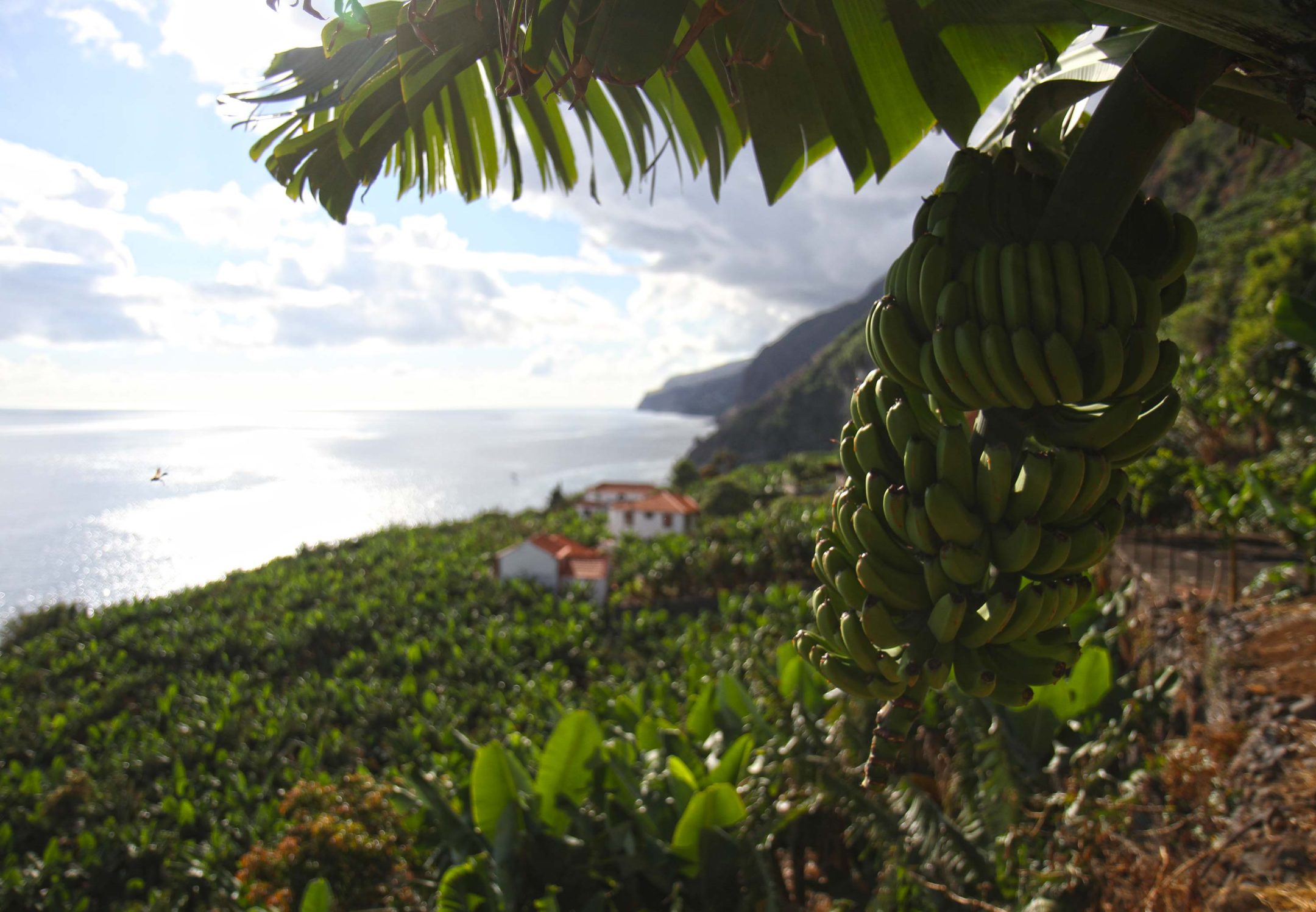 madalena do mar madère