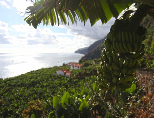 madalena do mar madère