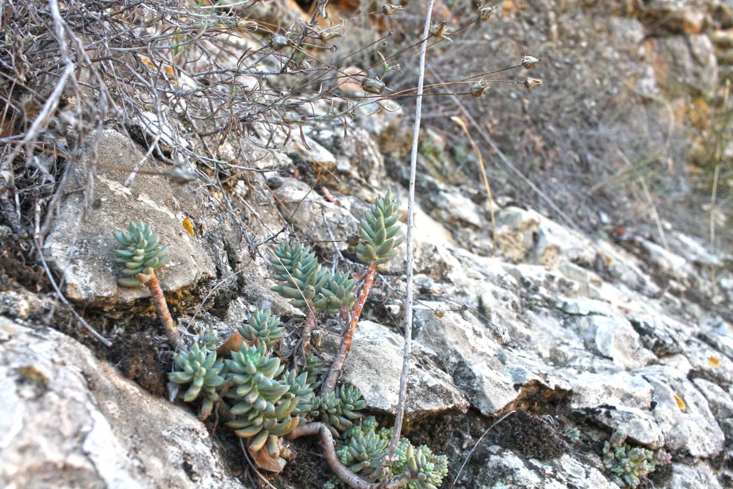 randonnée rio vero sierra de guara 