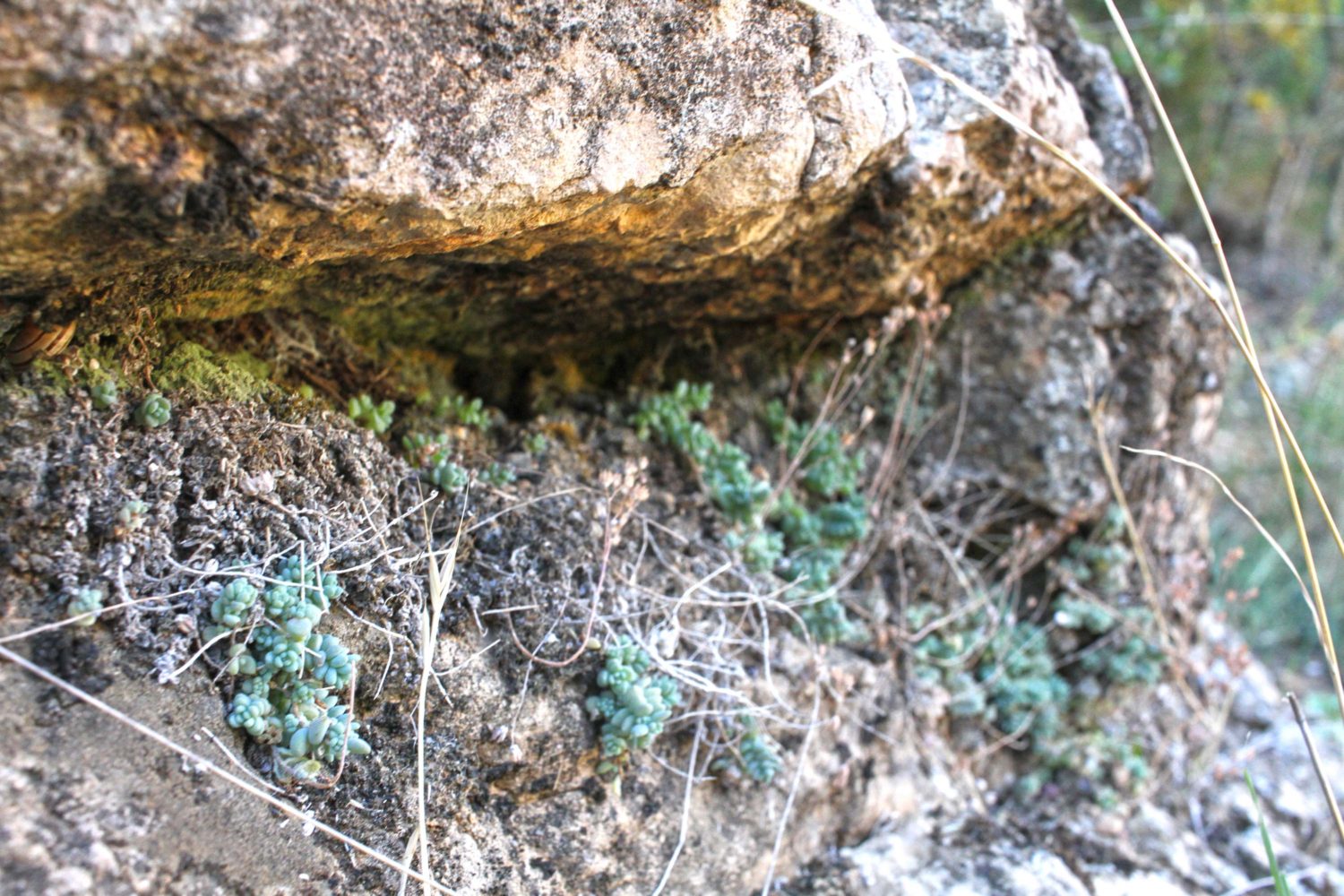 randonnée rio vero sierra de guara 