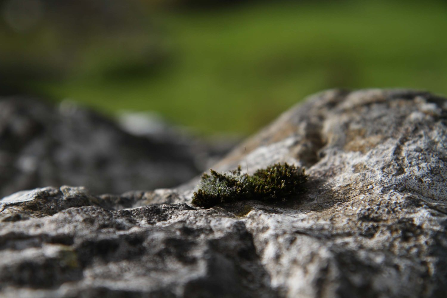 yorkshire dales