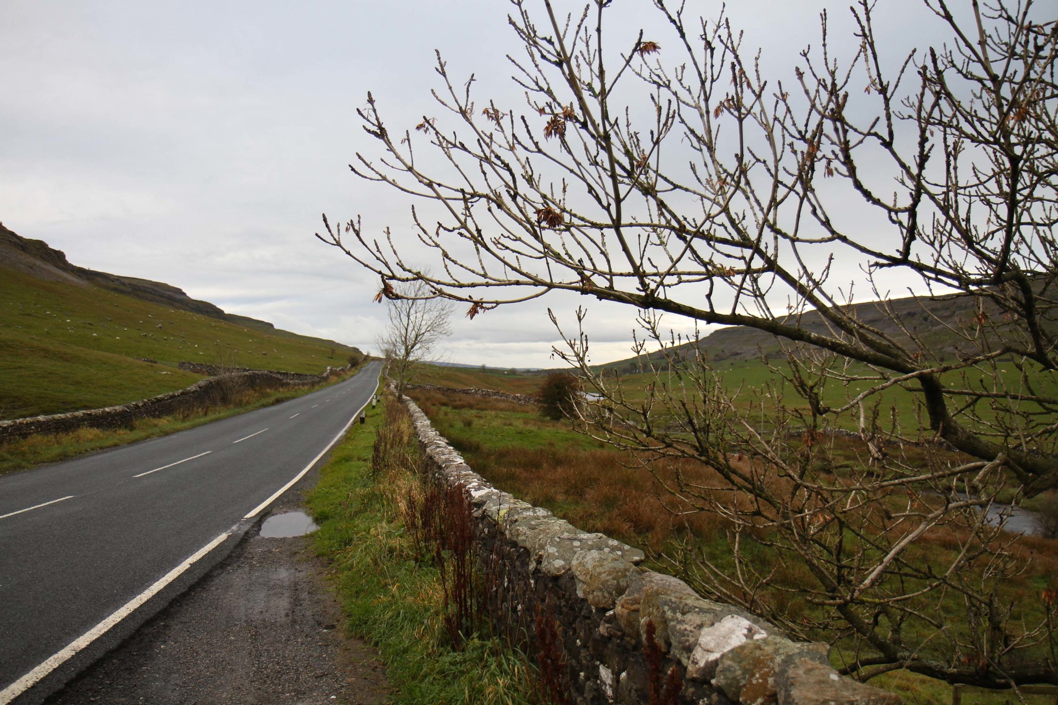 Yorkshire dales