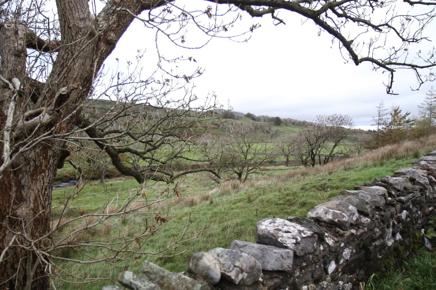 yorkshire dales