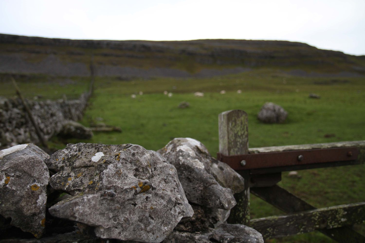 yorkshire dales