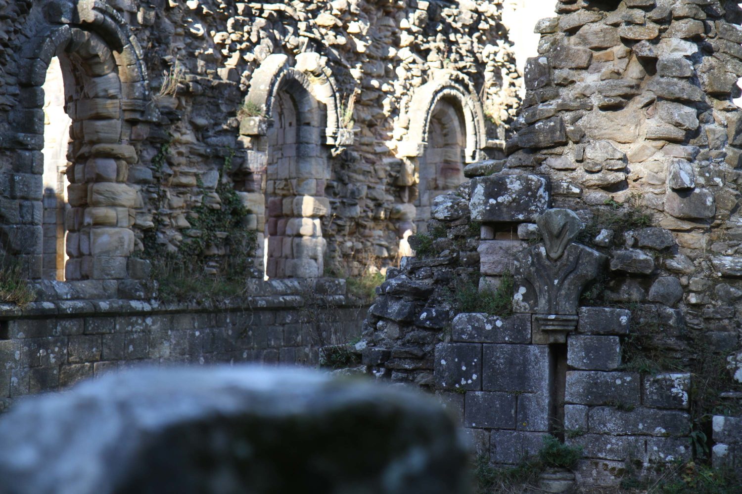 fountains abbey Yorkshire dales 