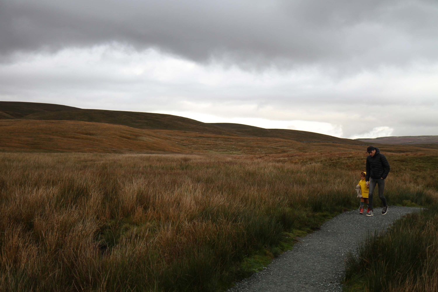 ribblehead viaduct Yorkshire dales 