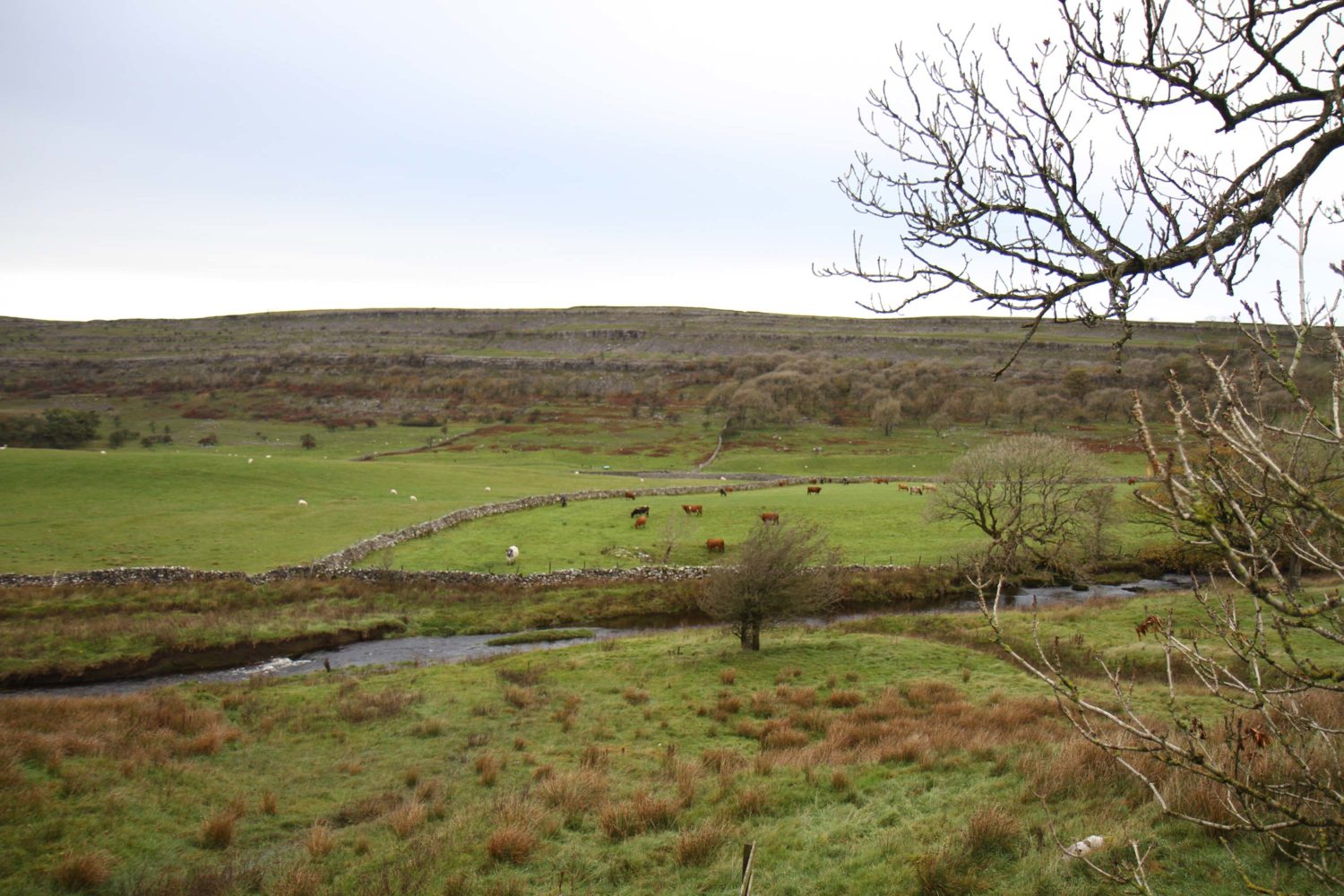 yorkshire dales