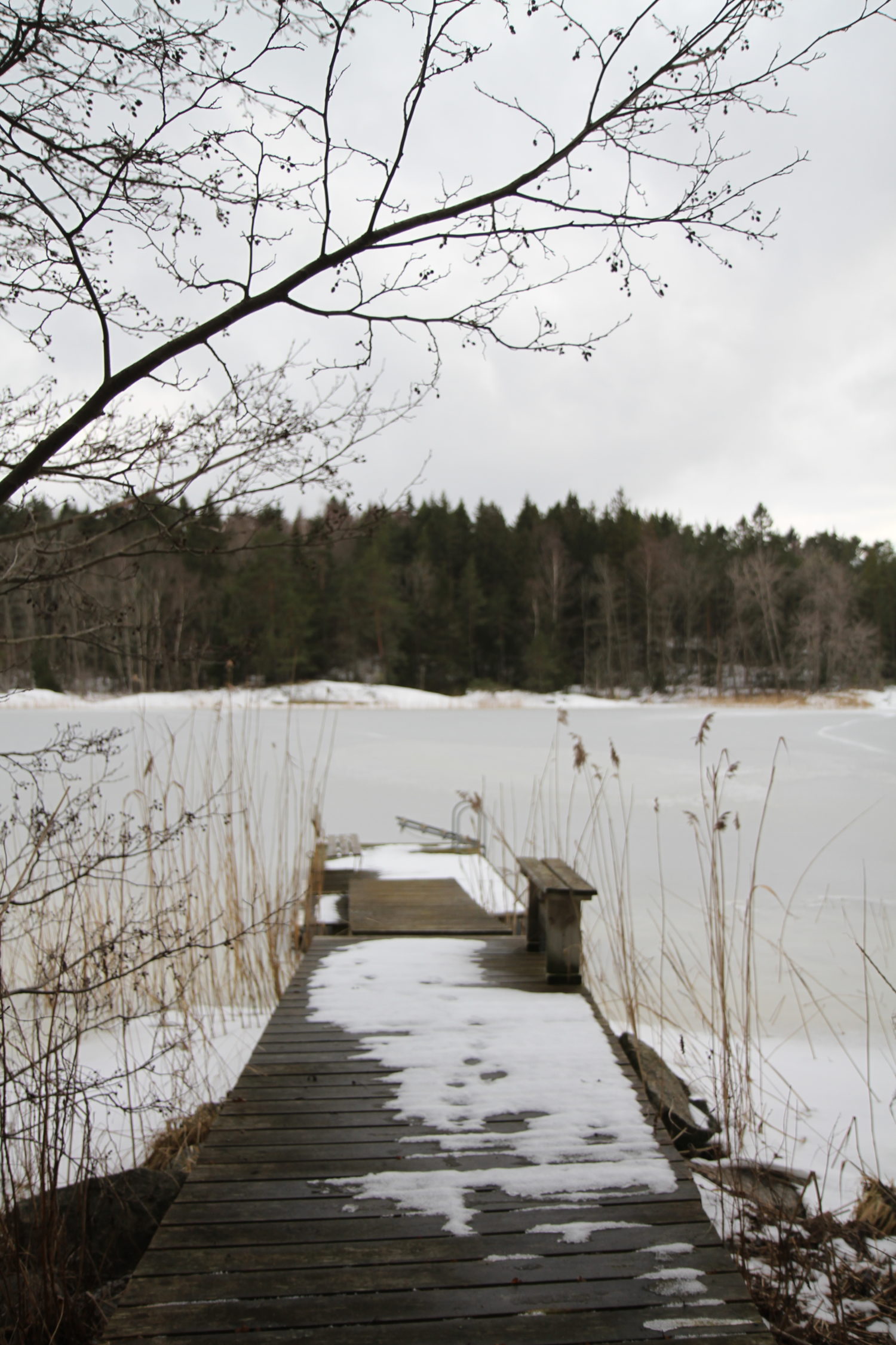 Frösvik brygga