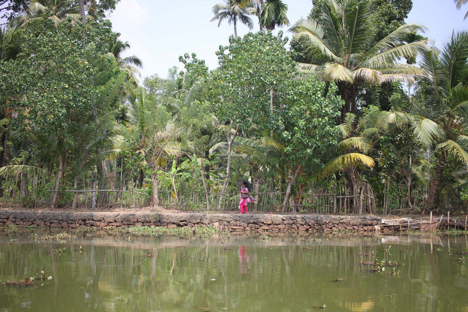 kerala backwaters Kumarakom 