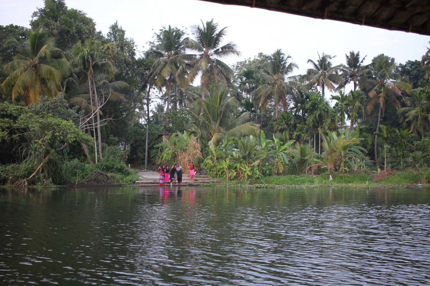 kerala backwaters Kumarakom 