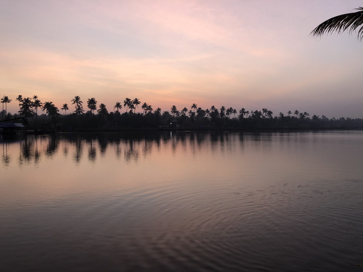 lever du soleil sur les backwaters 