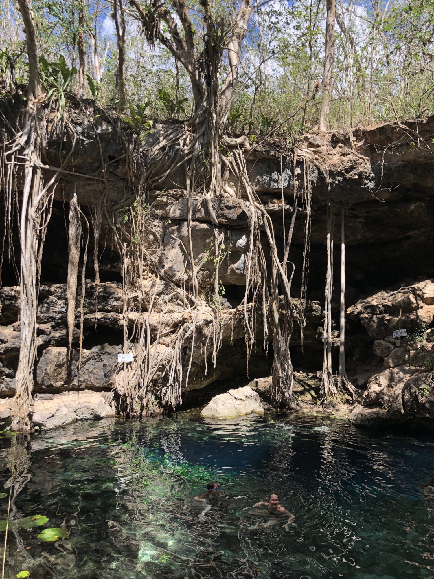 cénote x'batun Yucatan 