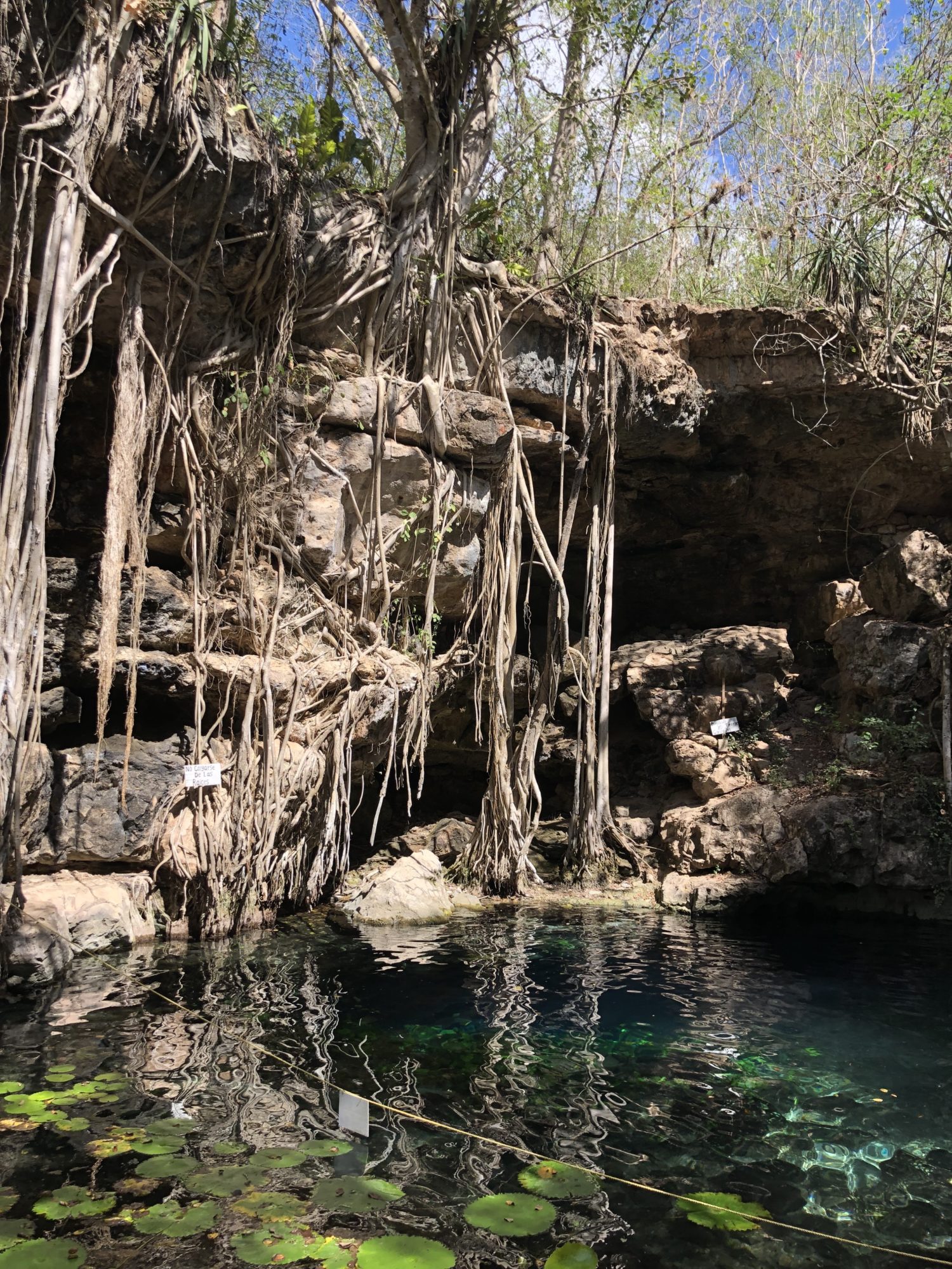 cénote x'batun Yucatan 