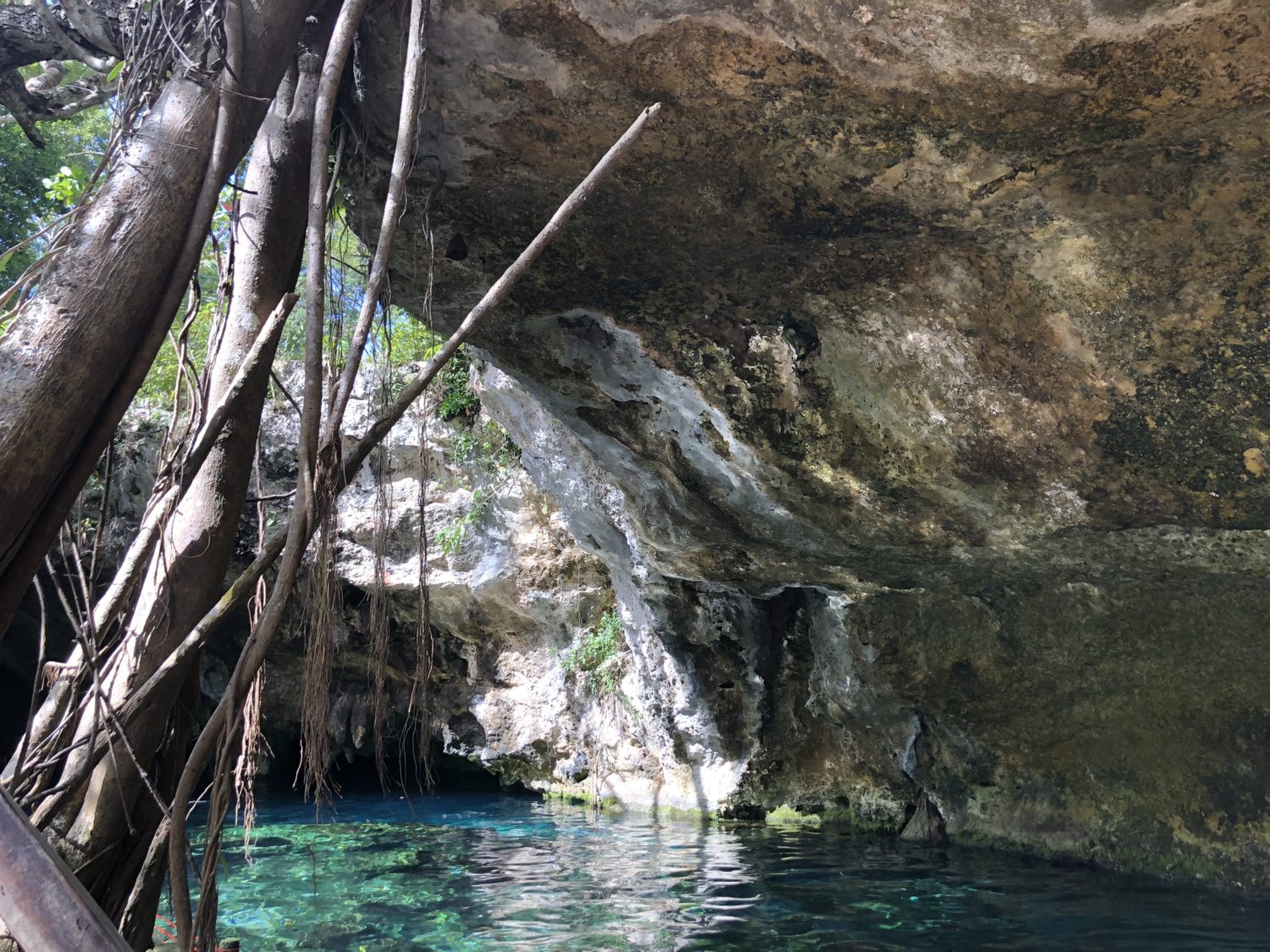 gran cénote tulum 