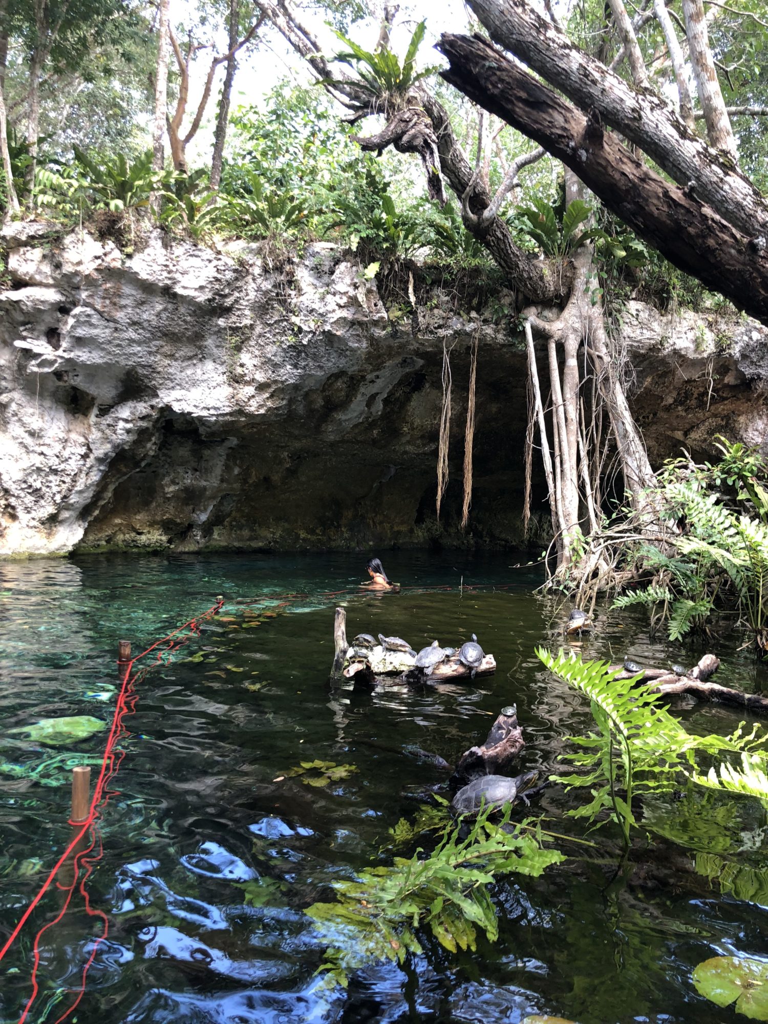 gran cénote tulum 