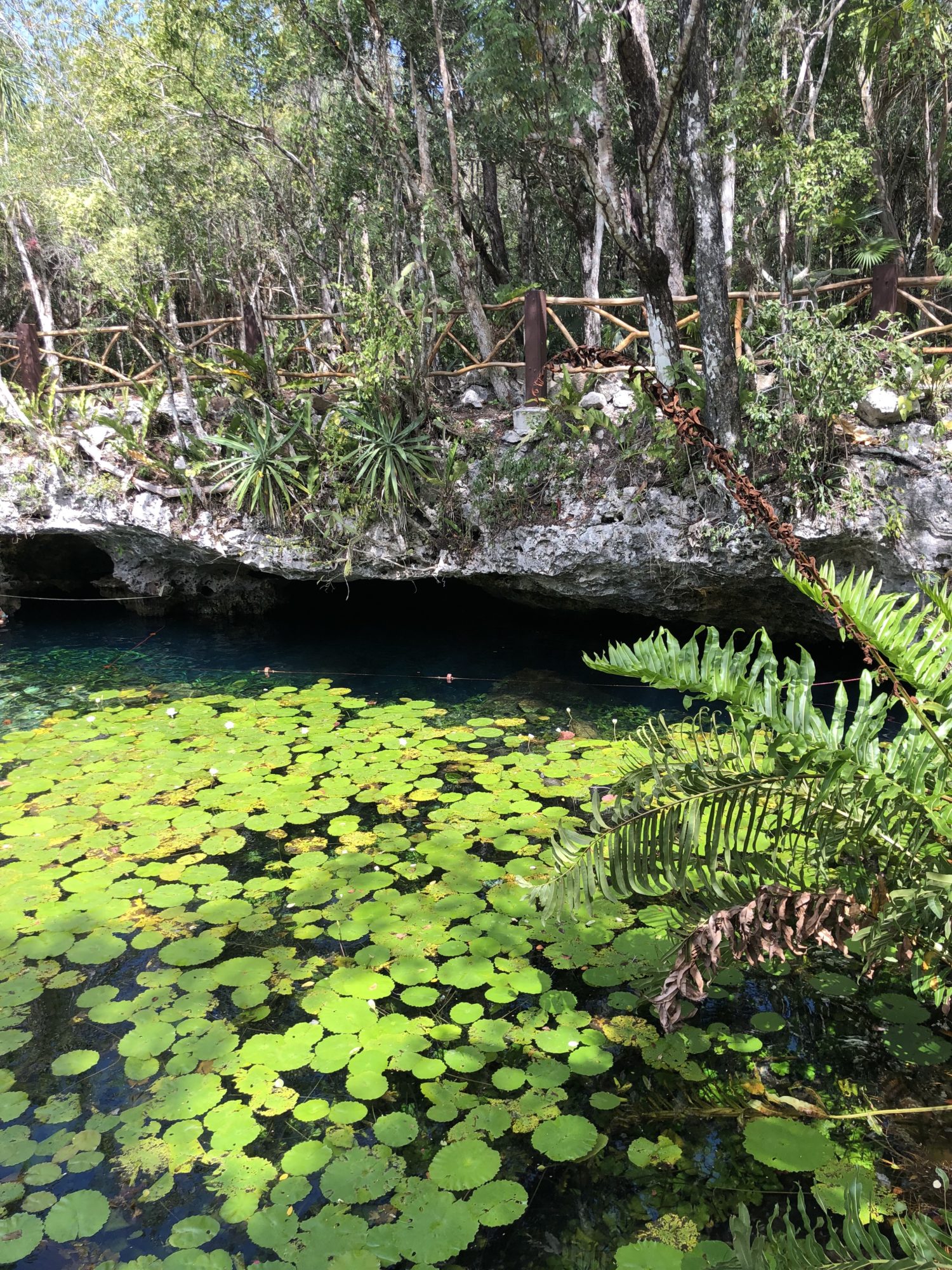 cénote Nicte-Ha Yucatan 