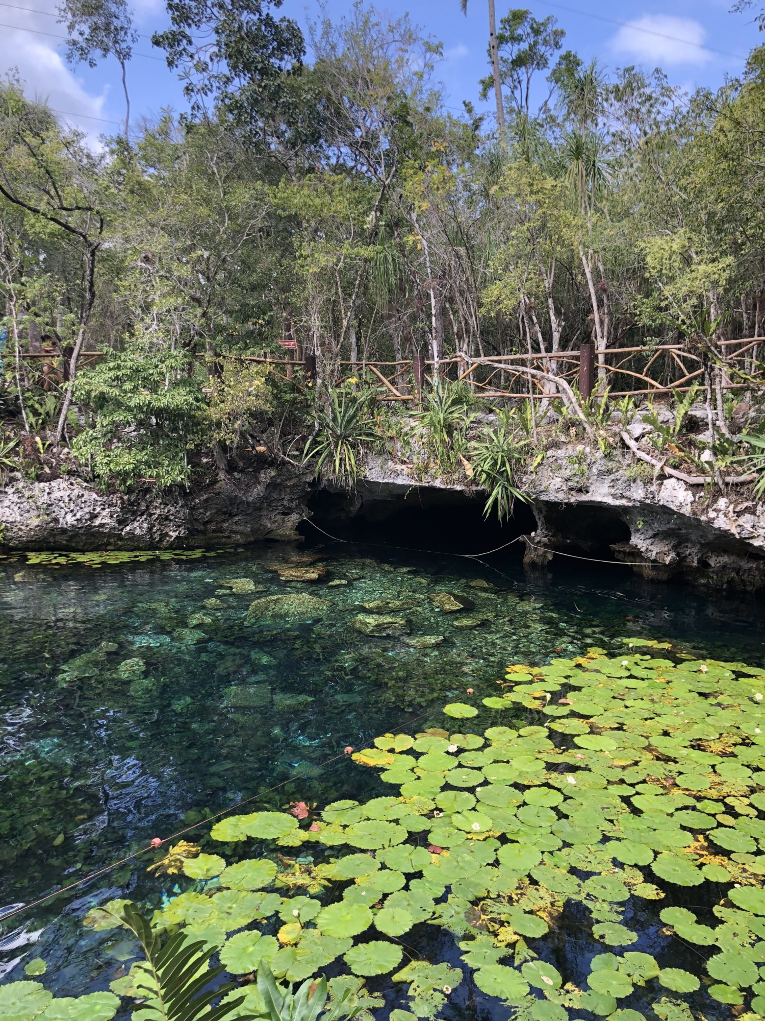 cénote Nicte-Ha Yucatan 