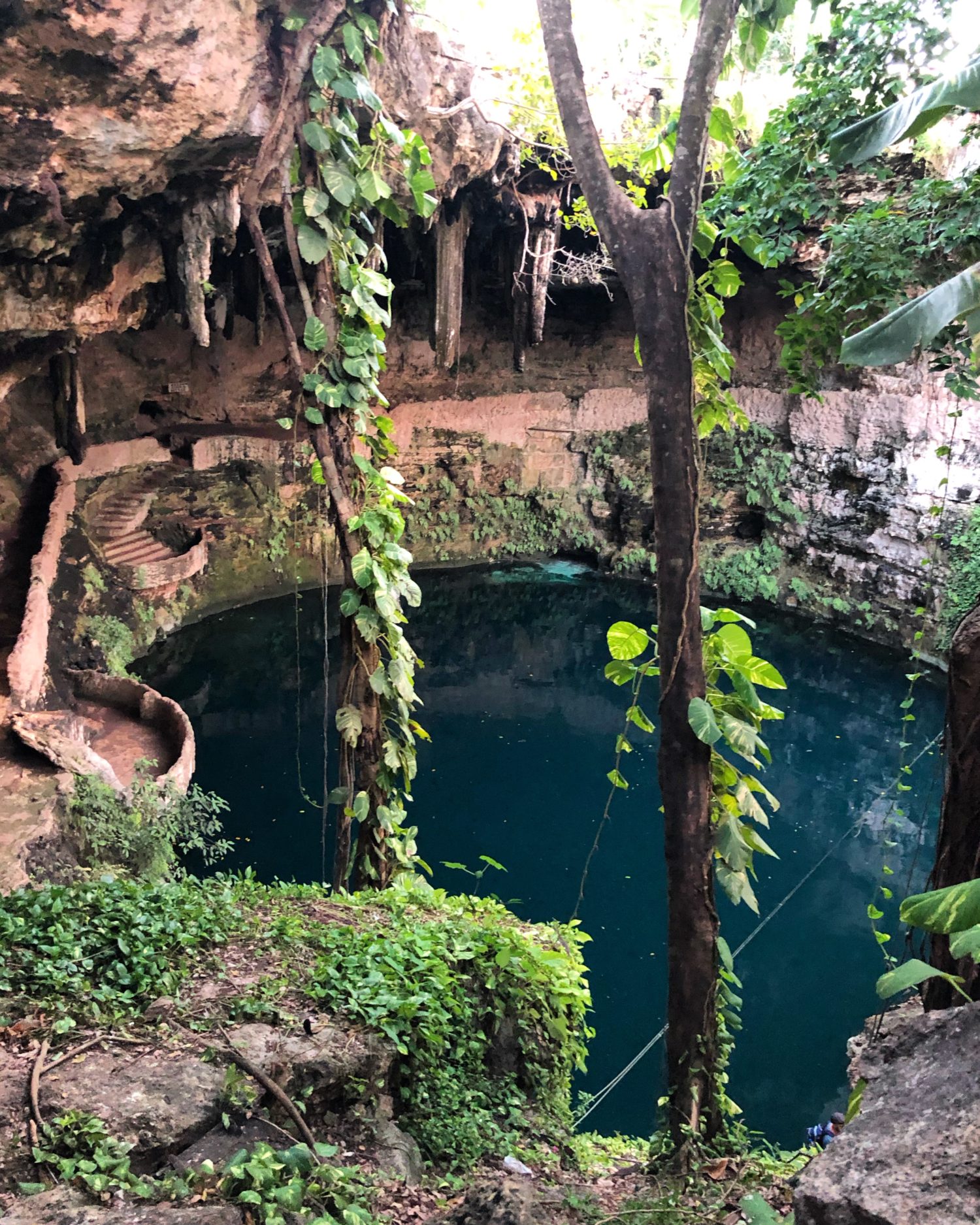 cenote Zaci Valladolid 