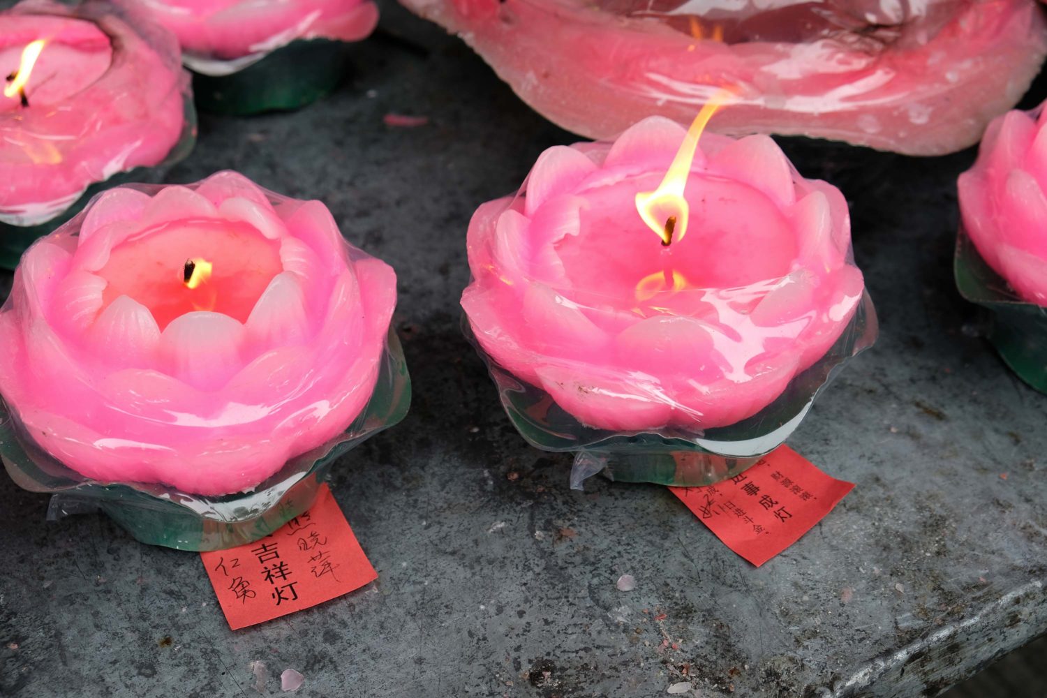 Jinsha nunnery Chengdu 