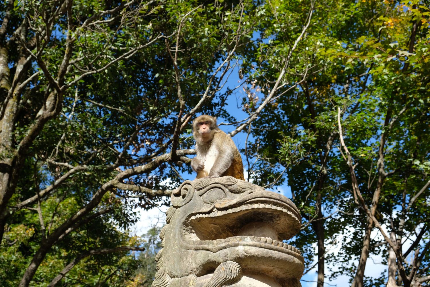 Baoxiang temple 