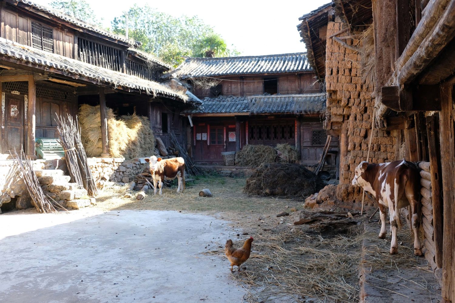 Shaxi Hualong Yunnan 