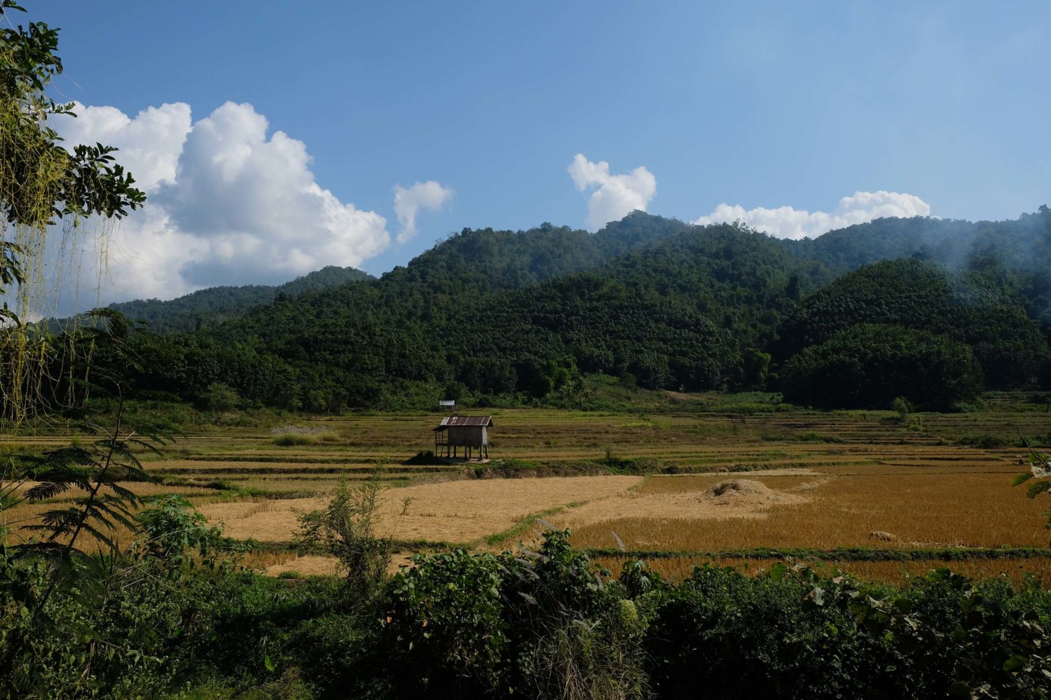 Luang Namtha Laos 