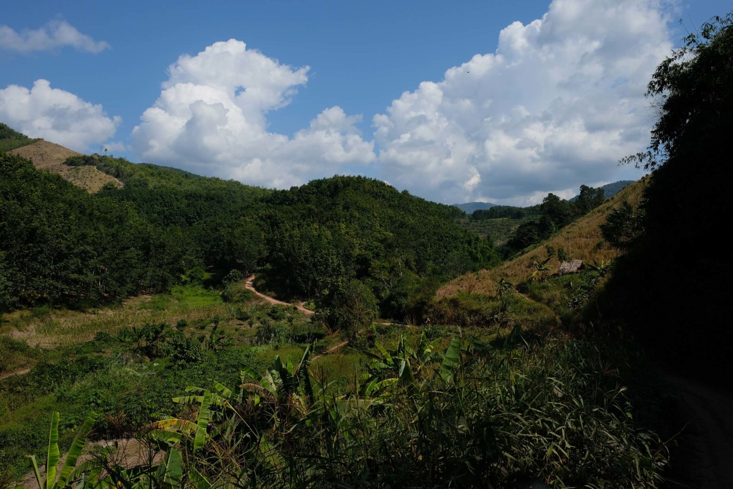 Luang Namtha Laos 