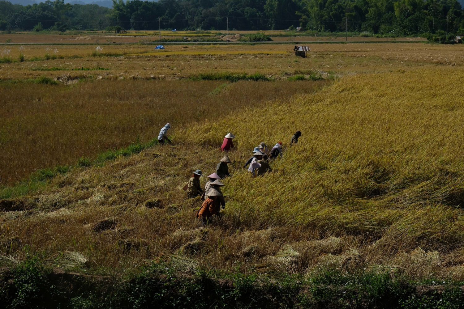 Luang Namtha Laos 