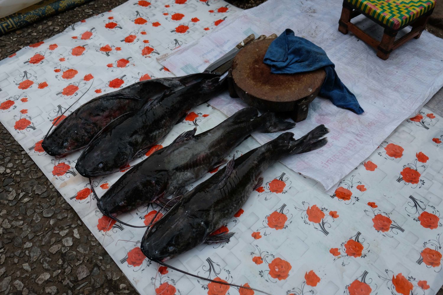 Morning Market Luang Prabang Laos 