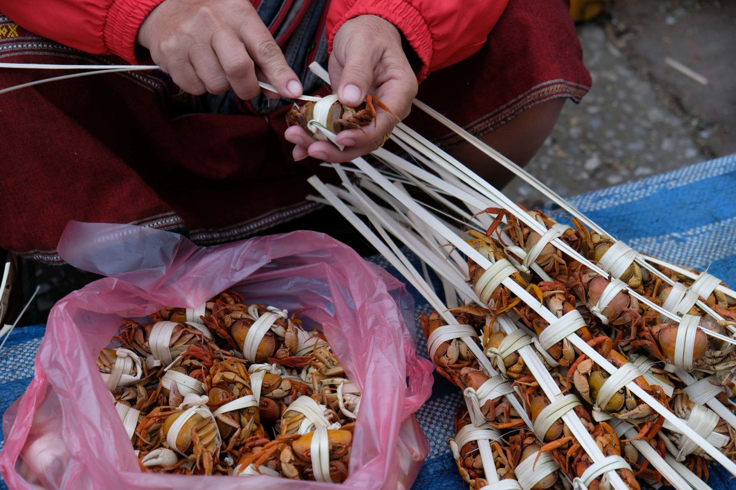 Morning Market Luang Prabang Laos 