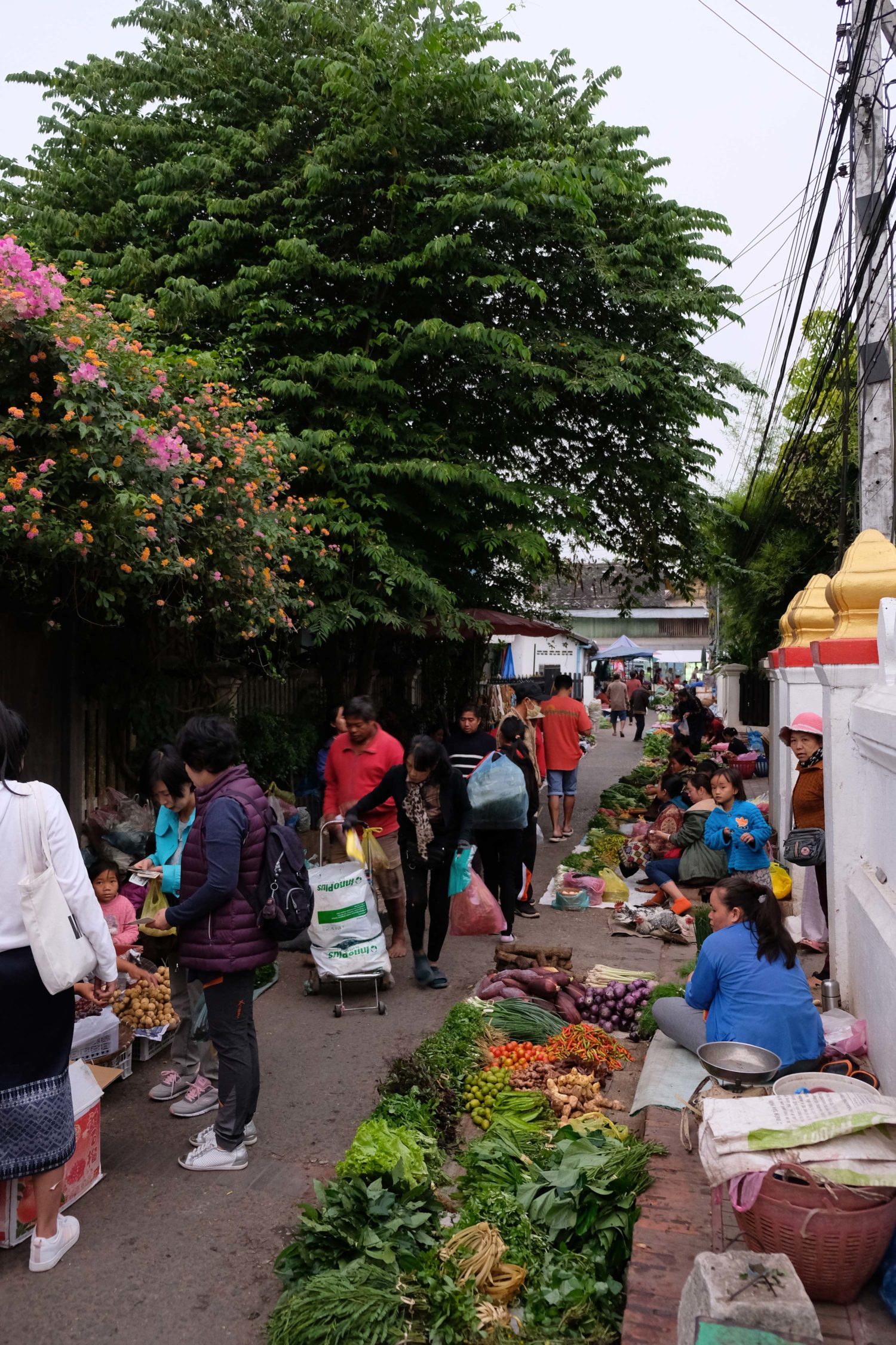 Morning Market Luang Prabang 