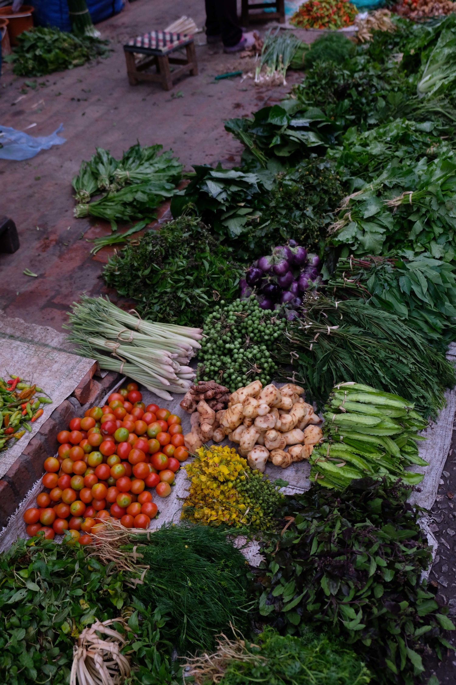 Morning Market Luang Prabang Laos 