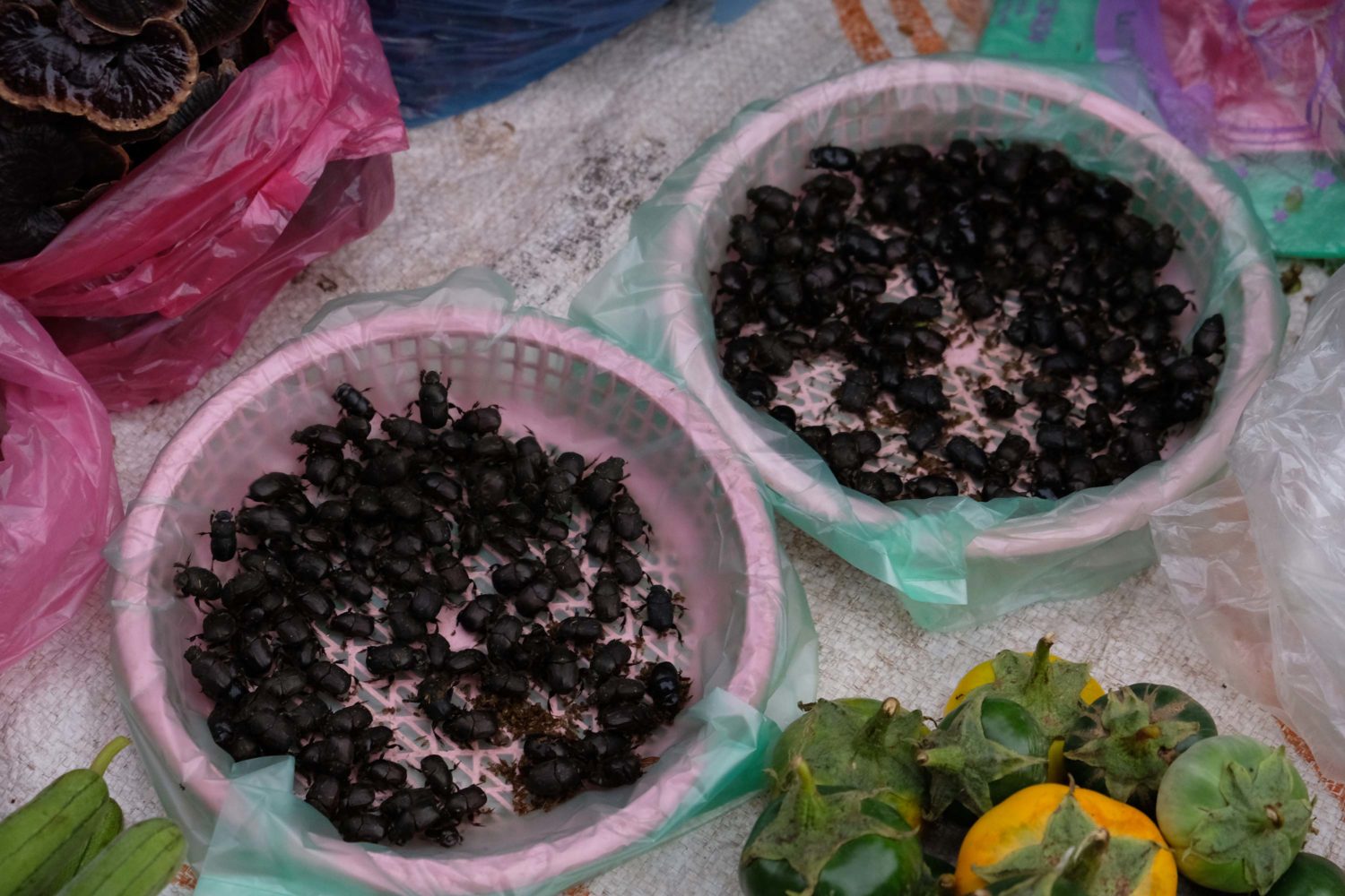 Morning Market Luang Prabang Laos 