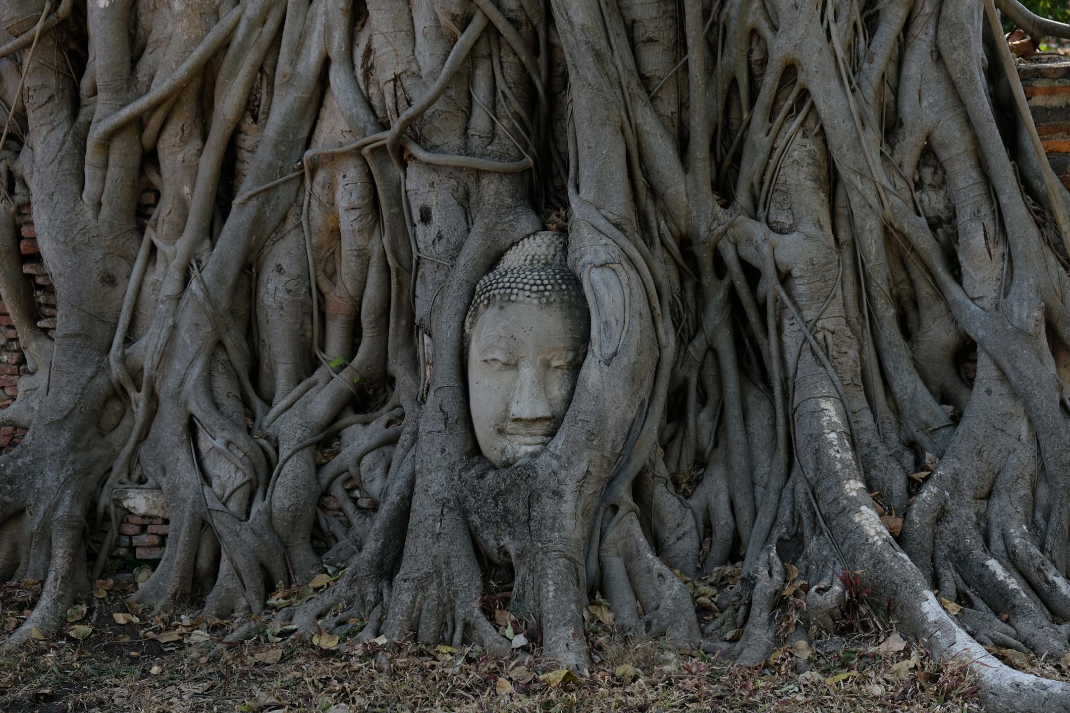 Wat Mahathat Ayutthaya