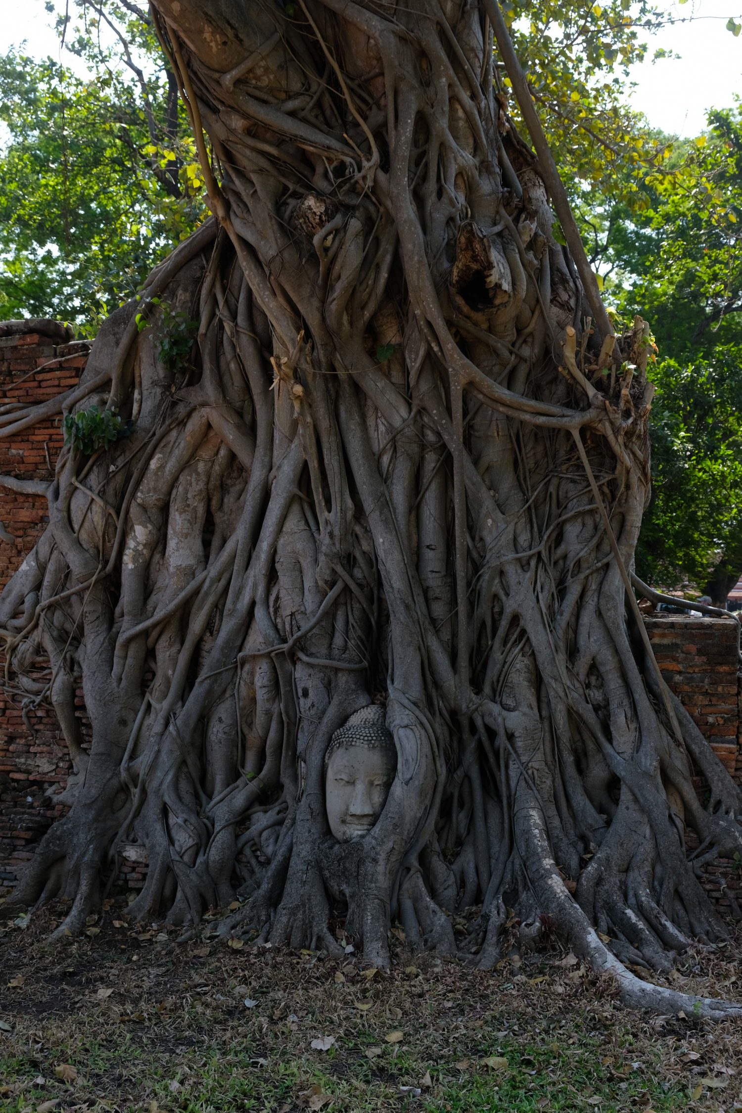 Wat Mahathat Ayutthaya