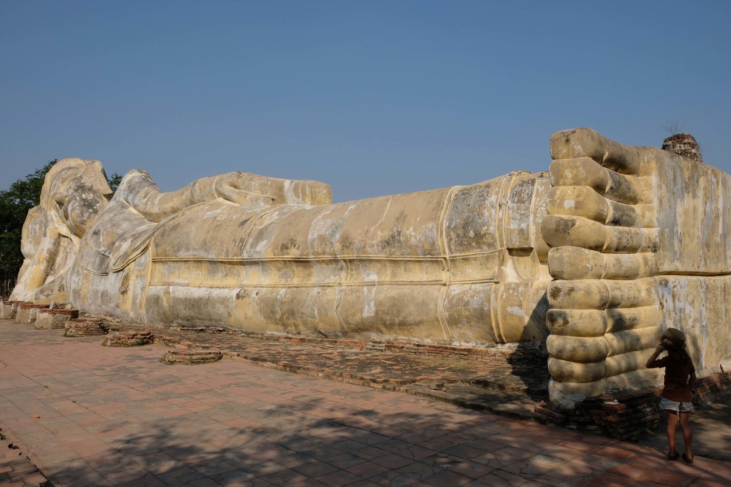 Wat Lokayasutha Ayutthaya